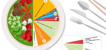 Лучше съесть, чем не съесть: польза растительных продуктов