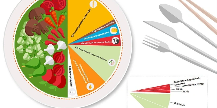 Лучше съесть, чем не съесть: польза растительных продуктов