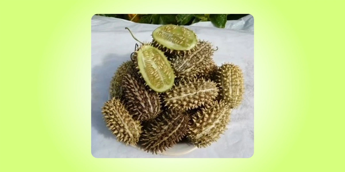 Тренды 2025-го: смажьте мясо маслом, или Что было в топе за полгода. Часть 2