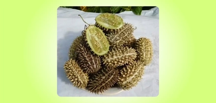 Тренды 2025-го: смажьте мясо маслом, или Что было в топе за полгода. Часть 2