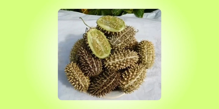 Тренды 2025-го: смажьте мясо маслом, или Что было в топе за полгода. Часть 2