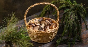 Печенье «Грибочки»