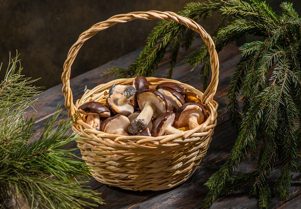 Рецепт «Печенье «Грибочки»»