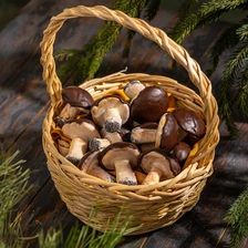 Печенье «Грибочки»