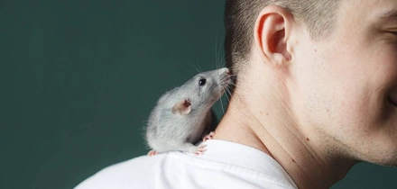 Этичная красота и&nbsp;отказ от&nbsp;тестов на&nbsp;животных: опыт Китая, России и&nbsp;Европы