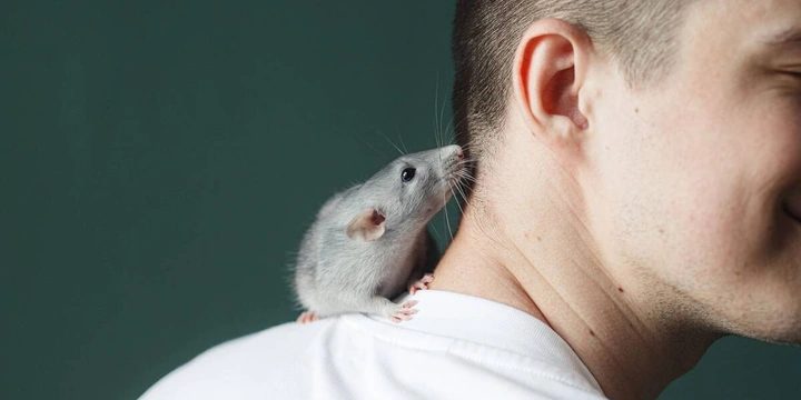 Этичная красота и&nbsp;отказ от&nbsp;тестов на&nbsp;животных: опыт Китая, России и&nbsp;Европы