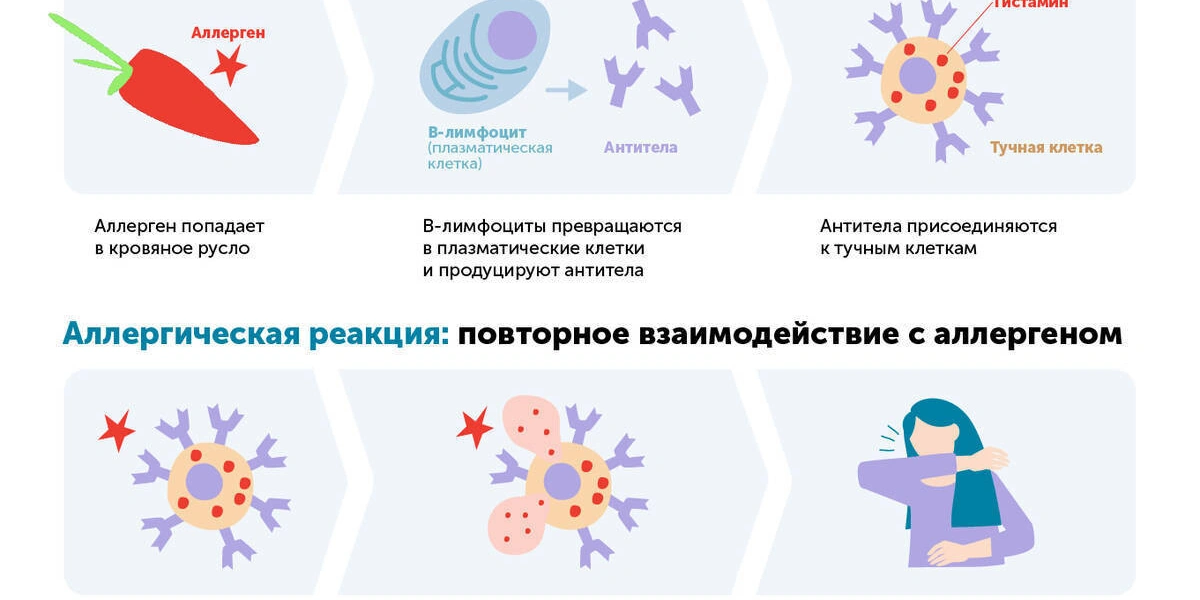 Азбука ВкусВилла: пищевая аллергия