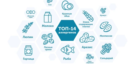Азбука ВкусВилла: пищевая аллергия