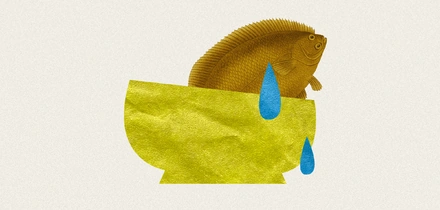 Сырая, жареная или замороженная: выбираем рыбу с&nbsp;экспертами в&nbsp;историческом контексте