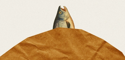 Сырая, жареная или замороженная: выбираем рыбу с&nbsp;экспертами в&nbsp;историческом контексте