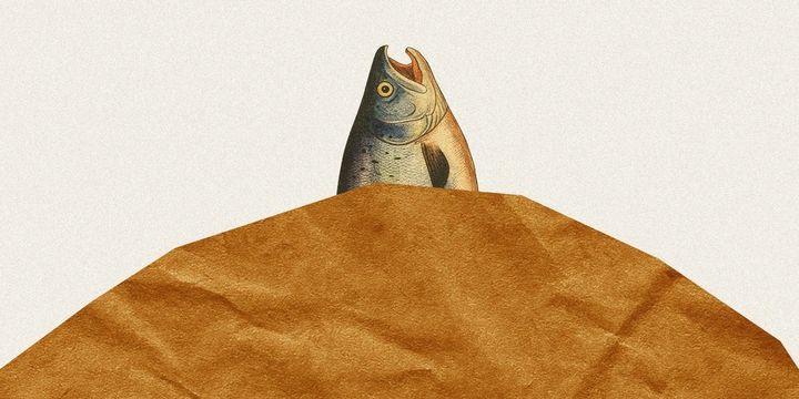 Сырая, жареная или замороженная: выбираем рыбу с&nbsp;экспертами в&nbsp;историческом контексте