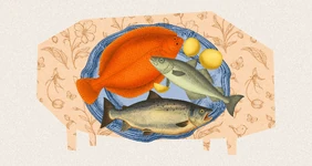 Сырая, жареная или замороженная: выбираем рыбу с&nbsp;экспертами в&nbsp;историческом контексте