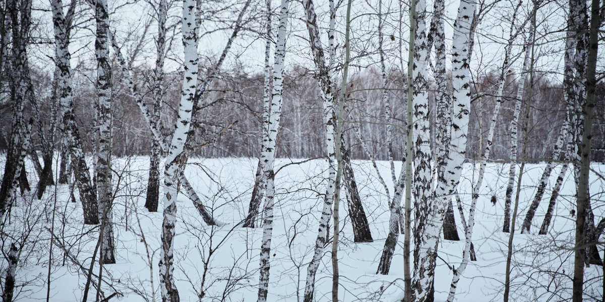 За пределы Москвы и&nbsp;Питера: какой вид отдыха будет популярен в&nbsp;2026 году 