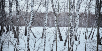 За пределы Москвы и&nbsp;Питера: какой вид отдыха будет популярен в&nbsp;2026 году 