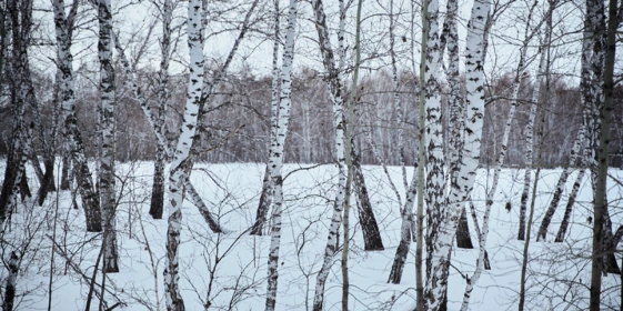 За пределы Москвы и&nbsp;Питера: какой вид отдыха будет популярен в&nbsp;2026 году 