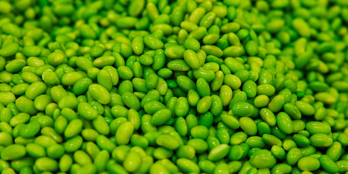 На кухне у бренд-шефа: как рождается линейка ШефВилл для&nbsp;новогоднего стола