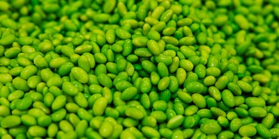 На кухне у бренд-шефа: как рождается линейка ШефВилл для&nbsp;новогоднего стола