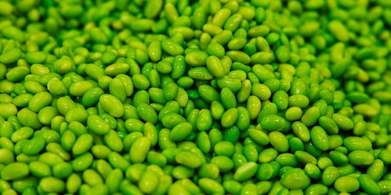 На кухне у бренд-шефа: как рождается линейка ШефВилл для&nbsp;новогоднего стола