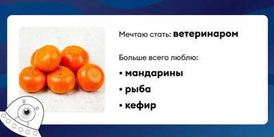 Детям о&nbsp;космосе: кошки в&nbsp;невесомости, подготовка к&nbsp;полёту и&nbsp;весёлые игры
