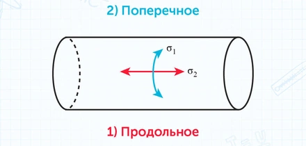 Кулинарная физика: что происходит с&nbsp;любимыми продуктами на&nbsp;кухне