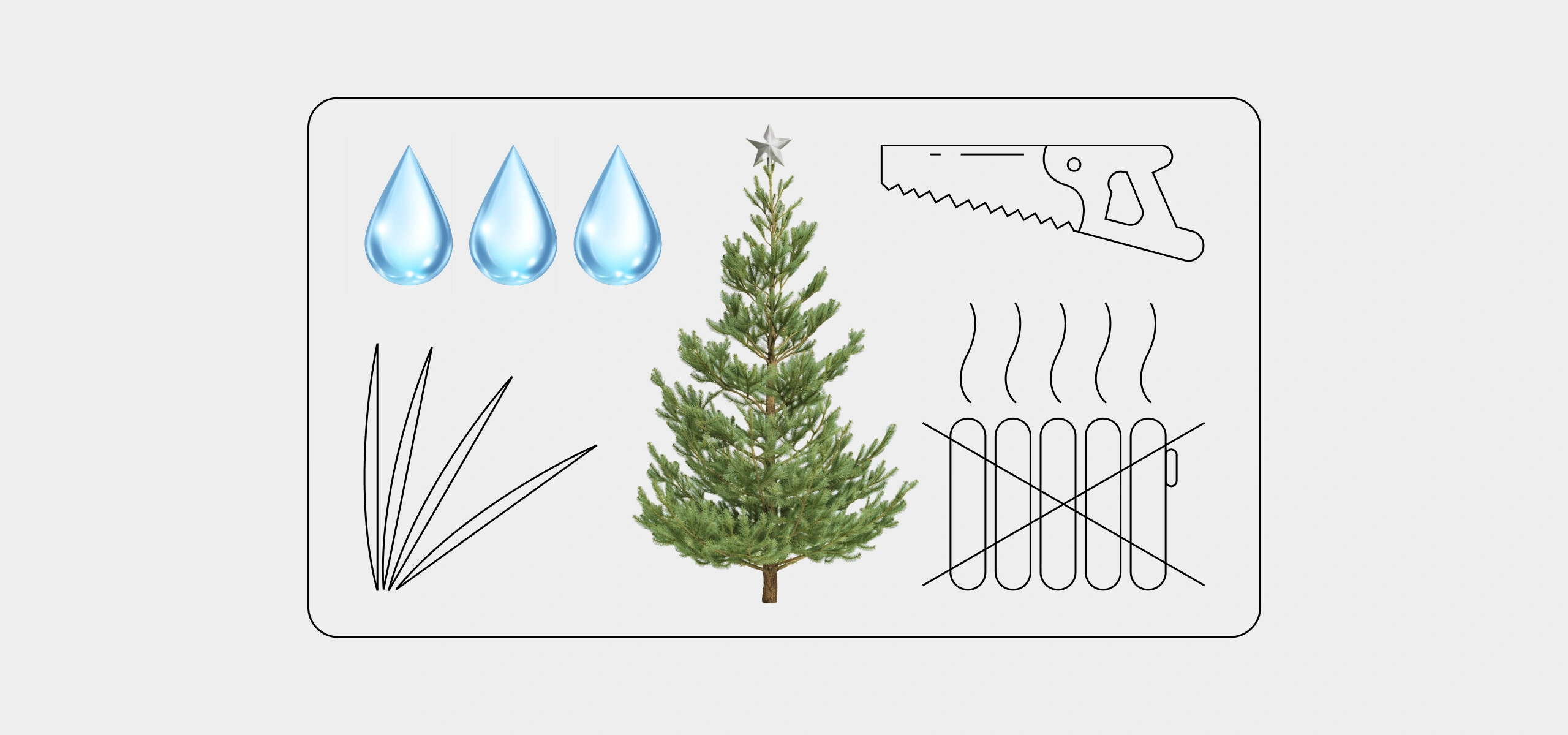 Как ухаживать за&nbsp;живой ёлкой, чтобы она простояла дольше