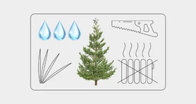 Как ухаживать за&nbsp;живой ёлкой, чтобы она простояла дольше