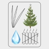 Как ухаживать за&nbsp;живой ёлкой, чтобы она простояла дольше