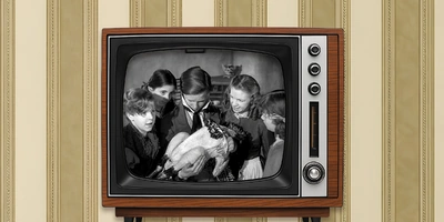 Кадры использованы в&nbsp;иллюстративных целях