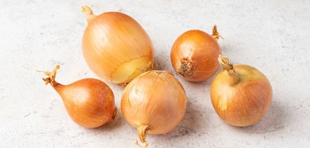 Как выбрать и&nbsp;хранить овощи и&nbsp;фрукты