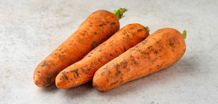 Как выбрать и&nbsp;хранить овощи и&nbsp;фрукты