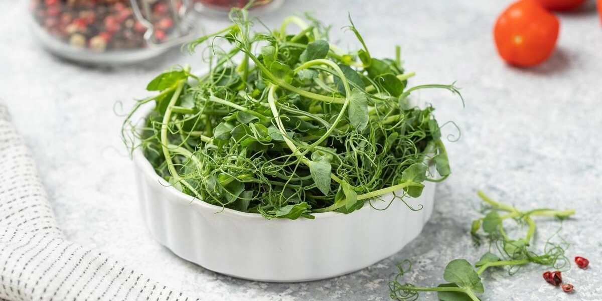 Рождение, зрелость и&nbsp;старение овощей и&nbsp;зелени: как меняется содержание нутриентов со временем