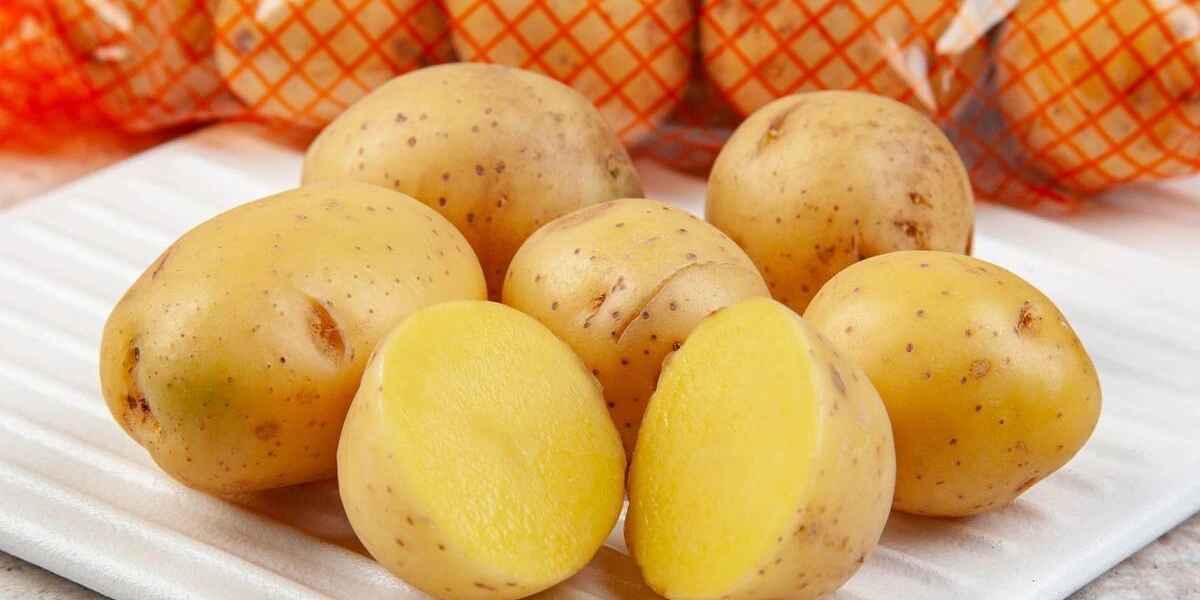 Рождение, зрелость и&nbsp;старение овощей и&nbsp;зелени: как меняется содержание нутриентов со временем