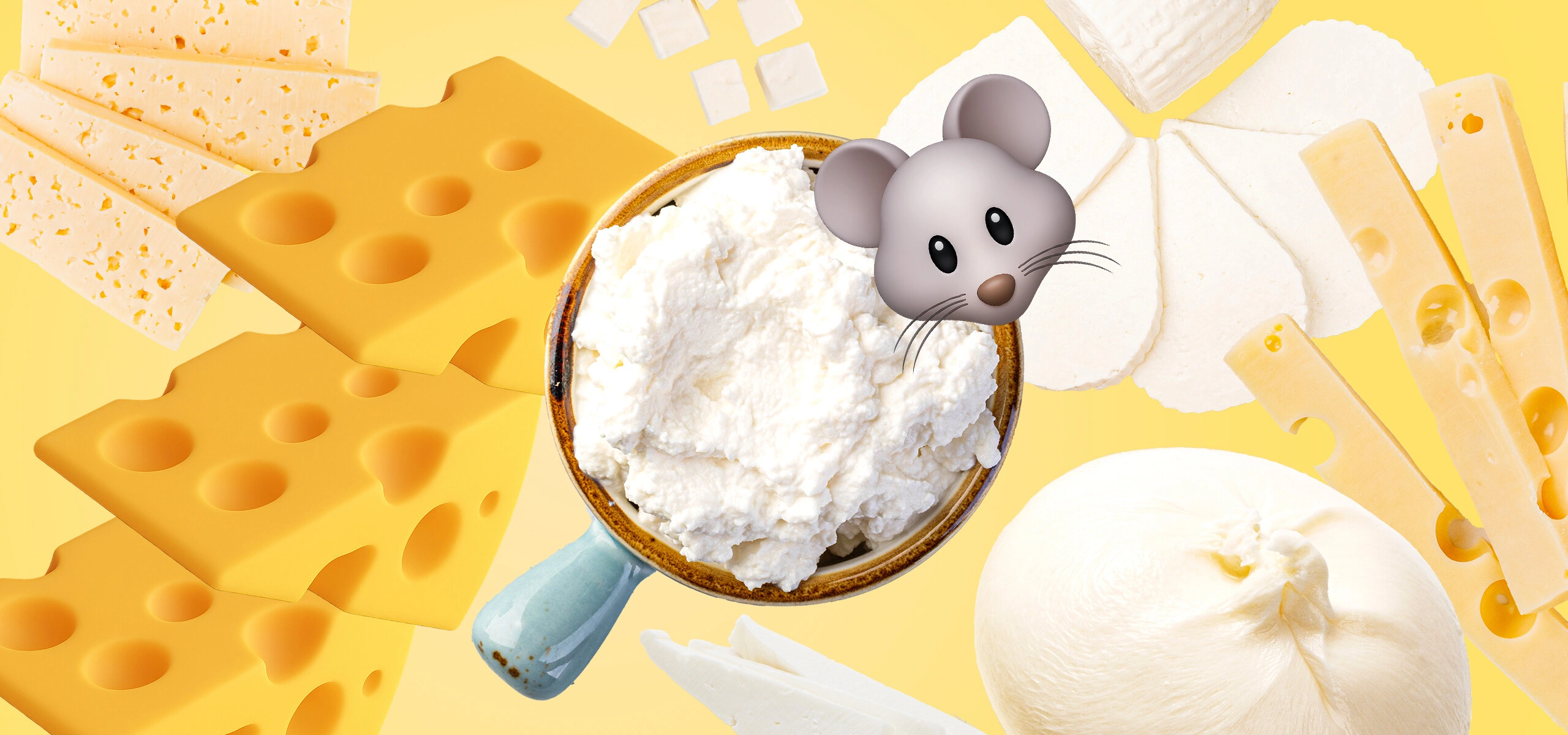 Сырный гайд: с&nbsp;чем подавать 20 популярных сыров — от&nbsp;пармезана до&nbsp;качотты