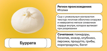 Сырный гайд: с&nbsp;чем подавать 20 популярных сыров — от&nbsp;пармезана до&nbsp;качотты
