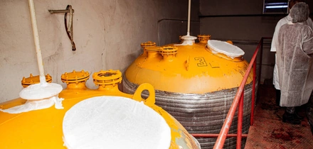 НеобыЧайный гриб