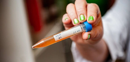 НеобыЧайный гриб