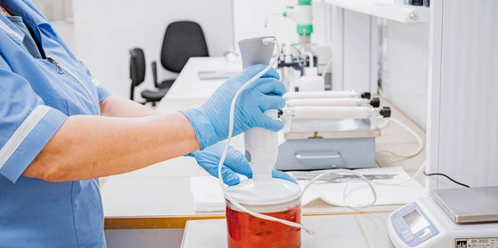 Есть или не есть: что на&nbsp;самом деле показывают нитрат-тестеры