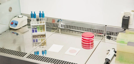 Как проверить качество охлаждённого мяса и&nbsp;птицы