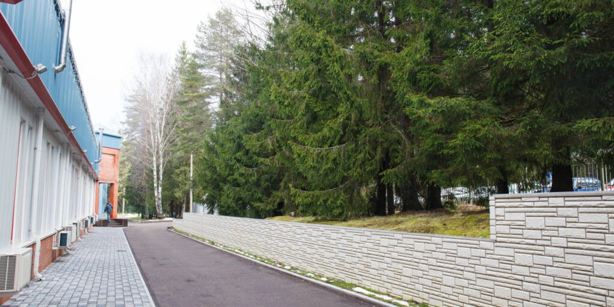 С чего начинается паста