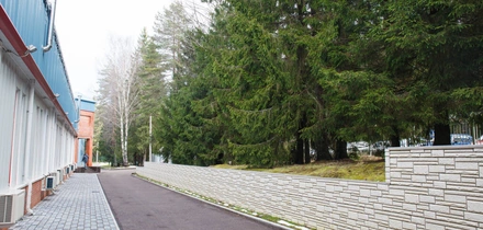 С чего начинается паста