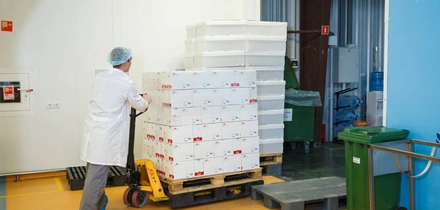 С чего начинается паста