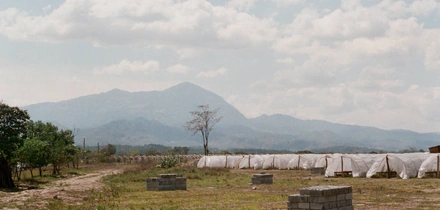 Прямой импорт для&nbsp;Verlé — это и&nbsp;социальный проект, который позволяет развивать хозяйства фермеров в&nbsp;странах третьего мира. Так, в&nbsp;этом году планируют ввезти порядка&nbsp;400 тонн зелёного зерна