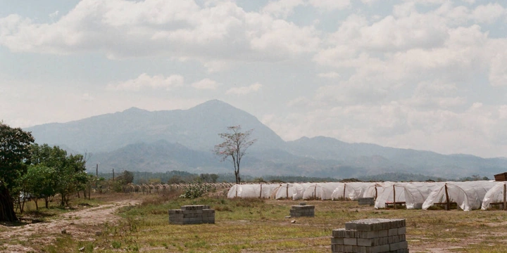 Прямой импорт для&nbsp;Verlé — это и&nbsp;социальный проект, который позволяет развивать хозяйства фермеров в&nbsp;странах третьего мира. Так, в&nbsp;этом году планируют ввезти порядка&nbsp;400 тонн зелёного зерна