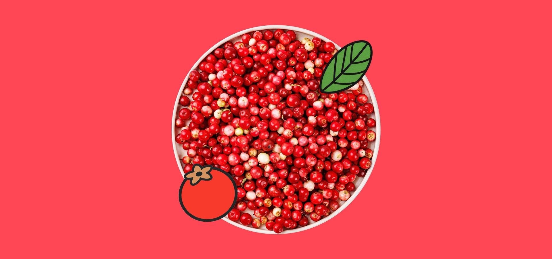 Чем полезна брусника и&nbsp;может ли эта северная ягода навредить