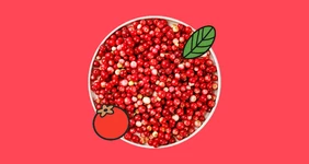 Чем полезна брусника и&nbsp;может ли эта северная ягода навредить