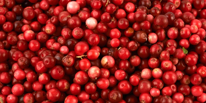 Чем полезна брусника и&nbsp;может ли эта северная ягода навредить