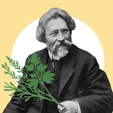 Омлет со свёклой и&nbsp;«репинские травки»: как изменился обед вегетарианцев за&nbsp;130 лет