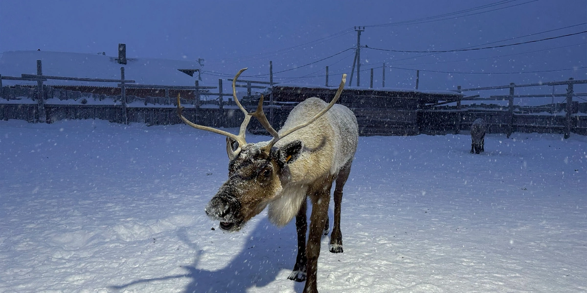 Едем в&nbsp;Териберку: гайд от&nbsp;редакторов ЩЕЙ Олеси и&nbsp;Анжелики, чтобы отдохнуть на&nbsp;100%