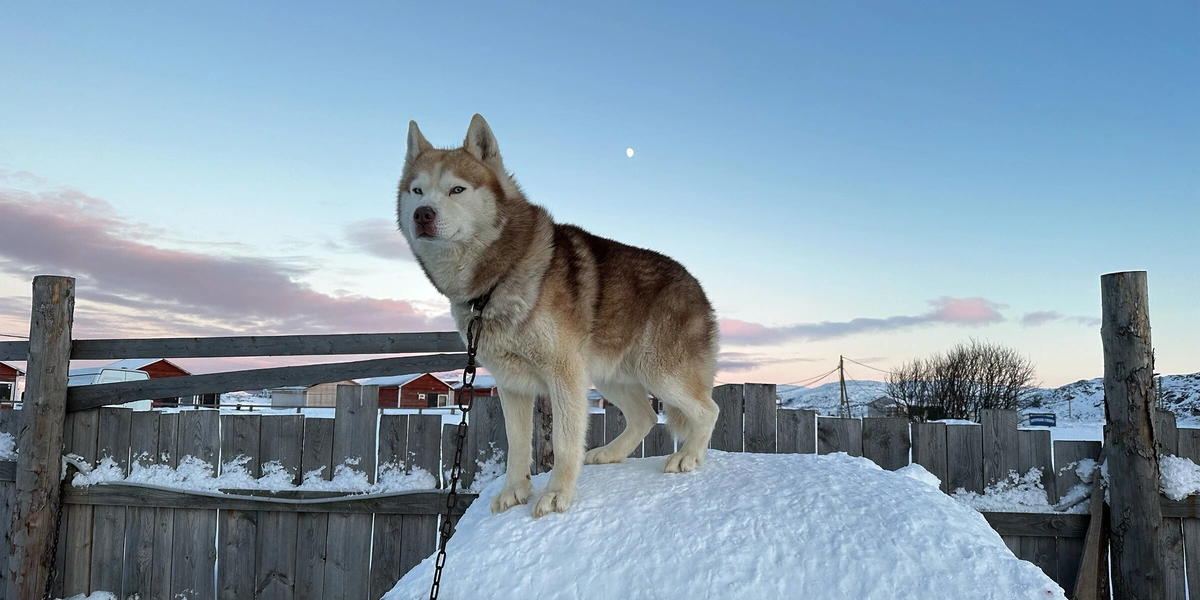 Едем в&nbsp;Териберку: гайд от&nbsp;редакторов ЩЕЙ Олеси и&nbsp;Анжелики, чтобы отдохнуть на&nbsp;100%