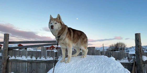 Едем в&nbsp;Териберку: гайд от&nbsp;редакторов ЩЕЙ Олеси и&nbsp;Анжелики, чтобы отдохнуть на&nbsp;100%
